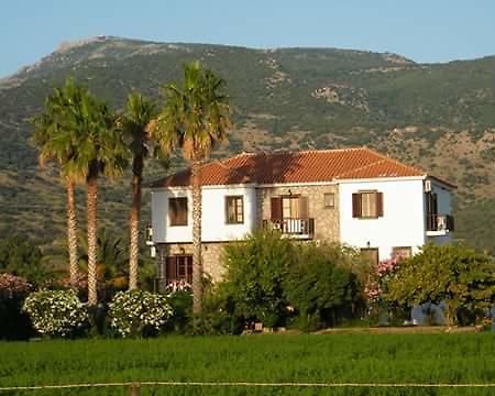 Islands Apartments Petra  Bagian luar foto