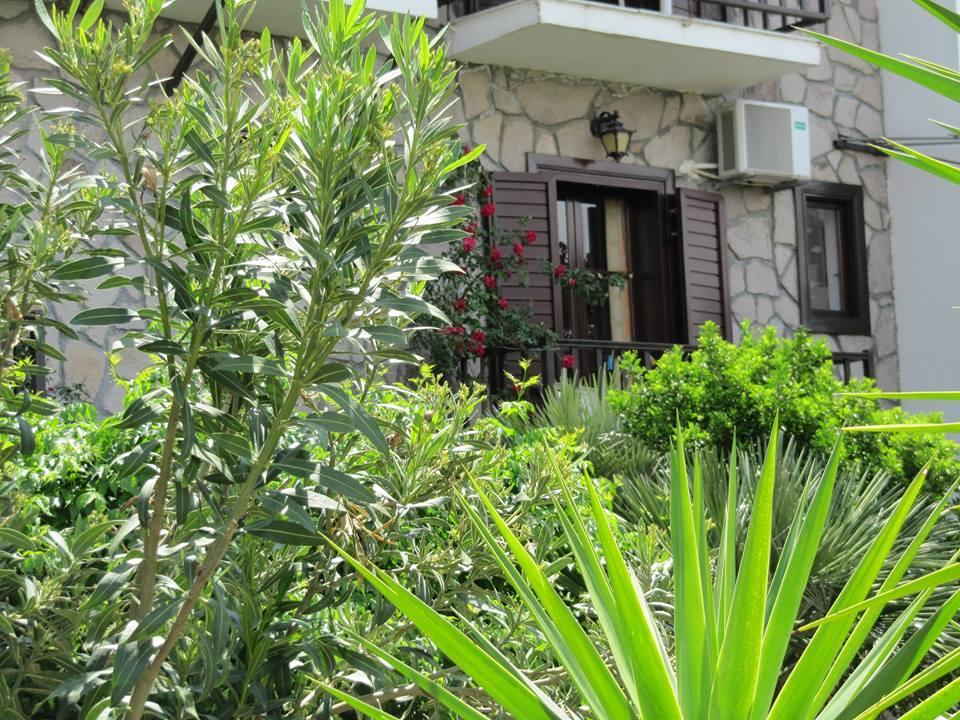 Islands Apartments Petra  Bagian luar foto