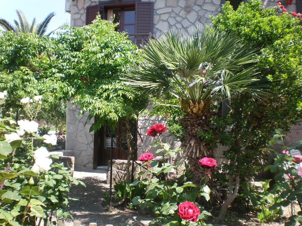 Islands Apartments Petra  Bagian luar foto