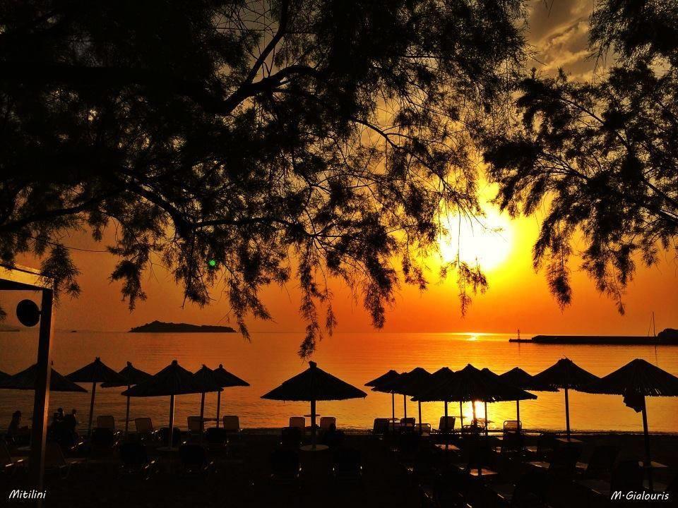 Islands Apartments Petra  Bagian luar foto