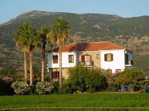 Islands Apartments Petra  Bagian luar foto